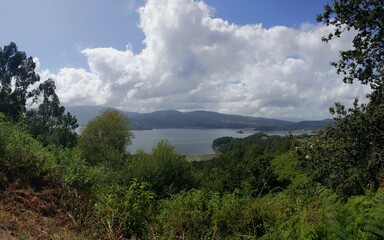 Panorâmica com árvores verdes, rio, e céu azul com nuvens brancas.