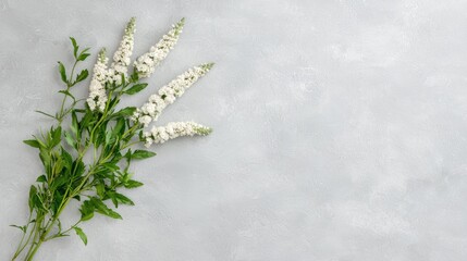 White flowers on gray textured background