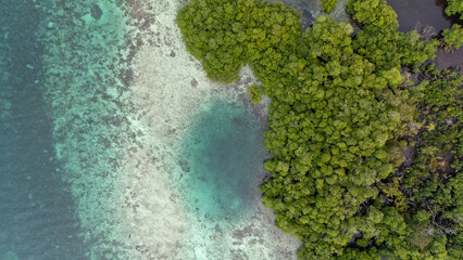 Panama.Tropical Island Aerial View. Wild coastline lush exotic green jungle. Cayo Coral. Red Frog Beach in Bastimentos Island, Bocas del Toro, Central America, Panama.