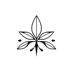 Stylized botanical illustration of symmetrical leaf design, black lines on white.