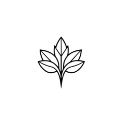 Minimalist Line Art: A stylized leaf design, symmetrical and balanced, set against a white backdrop, evoking nature's simplicity.