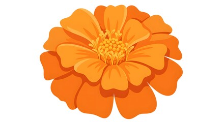 Vibrant Orange Marigold Flower Illustration on White Background for Springtime Designs
