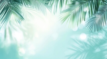 Palm leaves summer sun bokeh background