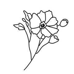 Ink Flower Drawing