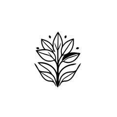 Modern botanical drawing of a stylized plant with leaves, featuring a minimalist black and white design.