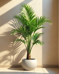 Fototapeta premium Lush green palm plant in a modern white pot, placed in a sunlit corner of a minimalist interior. Vibrant tropical leaves casting natural shadows on a warm beige wall