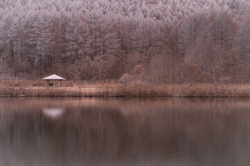 高原の樹氷と湖 長野県 中牧湖 / Japanese highland ice and lakes