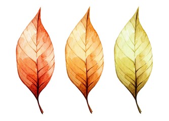 Different stages of leaf color change showcasing the beauty of autumn in an artistic watercolor style
