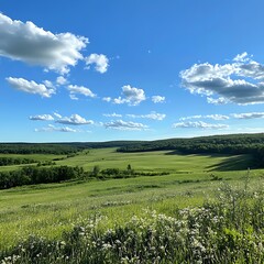Peaceful green field beneath a vivid blue sky for tranquility  
