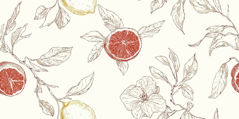 Seamless vintage botanical vector pattern with lemons, grapefruit, citrus tree branches. Elegant fruit design for packaging, fabric, wallpaper, branding, stationery, wrapping paper, kitchen decor