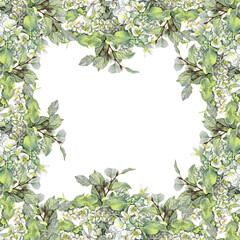 Square frame with watercolor wild apple flowers isolated on white background. Wedding invite. Summer or spring banner template for poster or card. Hand-drawn art with copy space for wallpaper