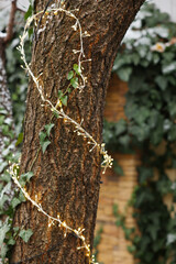 Obraz premium Tree trunk decorated with Christmas lights outdoors, closeup