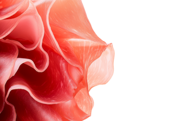 Close up of a pink flower with a red stem, isolated