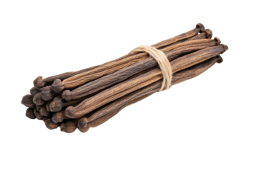 Bunch of brown and tan beans are tied together, isolated