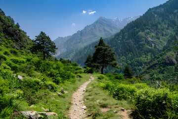 Obraz premium Enthralling Hiking Trail Towards Alpine Peaks Under a Clear Blue Sky: An Adventure Awaits
