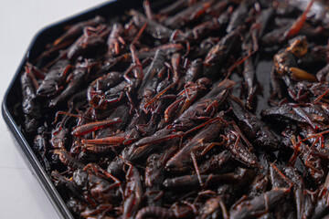 いなごの甘露煮 昆虫食