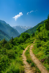 Obraz premium Enthralling Hiking Trail Towards Alpine Peaks Under a Clear Blue Sky: An Adventure Awaits