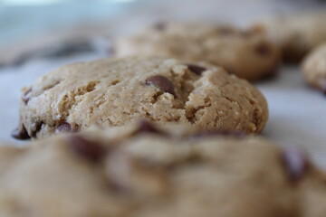 chocolate chip cookies