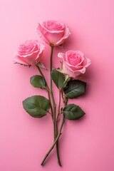 Delicate pink rose bouquet arranged on a soft pink background flat lay  
