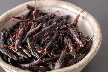 いなごの甘露煮 昆虫食