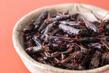 いなごの甘露煮 昆虫食