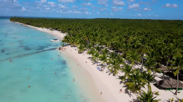 beach, saona island dominican republic #1