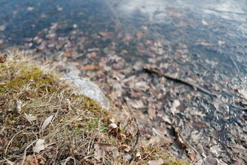 A cold winter morning strolling around public roads and frozen pond parks in Komagane City, Nagano Prefecture, Japan.