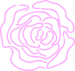 vector illustration of a pink Rose