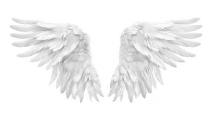 Realistic angel wing on isolated background