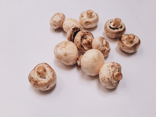 white champignons on a neutral white background, studio photography