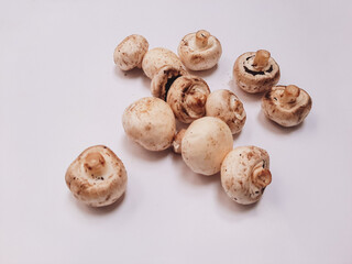white champignons on a neutral white background, studio photography