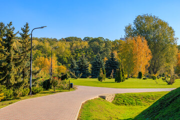 A park with a brick walkway and trees