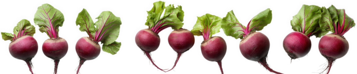 row of fresh. vibrant radishes with green leafy tops. showcasing their natural colors and textures this composition highlights the appeal of fresh produce. emphasizing health and nutrition
