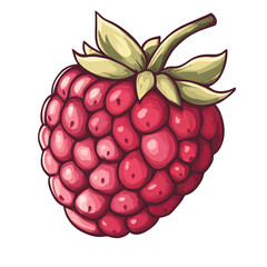 vector illustration of a ripe raspberry