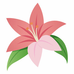 pink lily flower