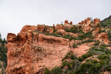 Fototapeta premium Red Rock Hillside with green trees Sedona Arizona