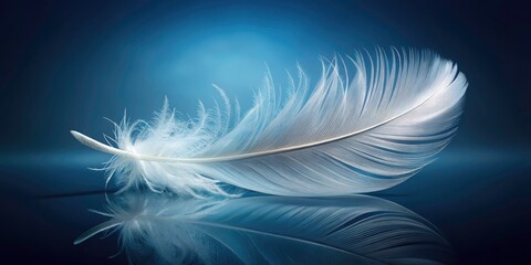 Elegant White Feather on Transparent Background - Soft Textures, Minimalist Design, Nature Inspiration, Ethereal Aesthetics, Isolated Object for Creative Projects