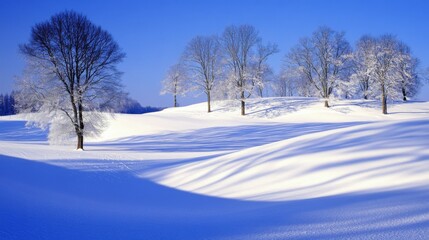 Obraz premium Winter Landscape, Snow Covered Hills