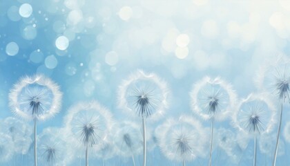 Obraz premium Illustration of Dandelion Fluff Seed Frame on a Light Blue Glowing Background.