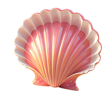 seashell on white background