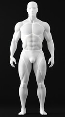 An illustration of the human body with white color blocks. black background. muscles