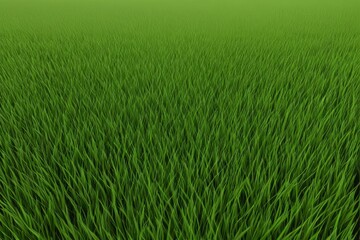 Obraz premium a close up of a green field of grass with a sky background