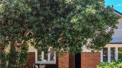 Old Restored Federation Suburban Sydney Double Brick with terrecotta Roof tiles timber window frames  in western Sydney  NSW Australia