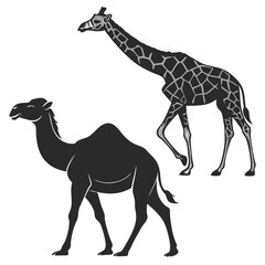 Camel Giraffe silhouette vector illustration