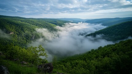 Hiker perspective looking down at a scenic valley, gentle spring fog rolling over the landscape