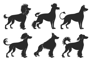 set of Chinese crested dog silhouette vector illustration
