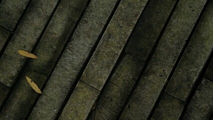 A close-up of aged wooden planks covered in moss, with fallen leaves adding a touch of nature’s quiet beauty.