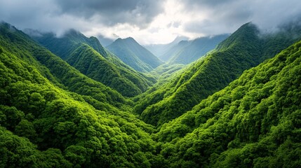 Obraz premium majestic green mountains surrounded by lush forests and dramatic clouds