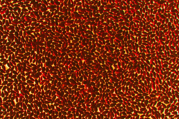 Particle, rough, textured texture, leather, paper, pattern, dot, shape, overlay