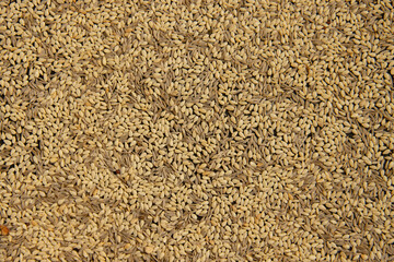 Particle, rough, textured texture, leather, paper, pattern, dot, shape, overlay